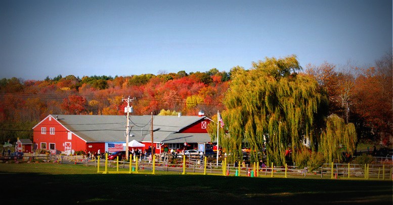 Blue Jay Orchards in Bethel CT