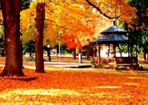 Seymour Trails in the Fall Photo of Seymour Trails with a CT Limousine
