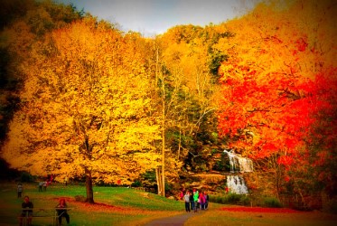 CT-Family-Trip-Image
