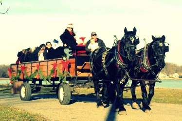 Stamford-Hay-Ride-With-Santa-Image